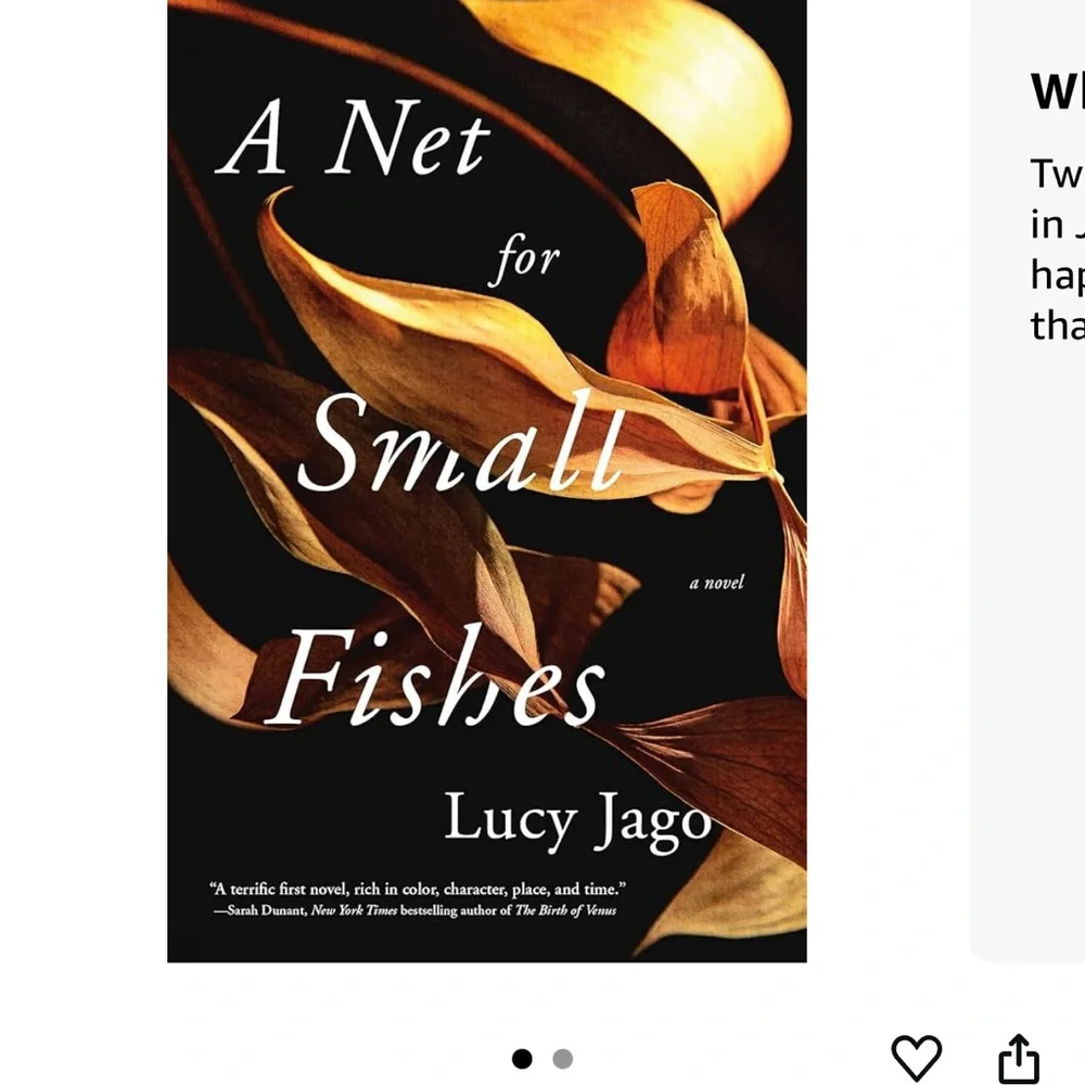 A Net for Small Fishes by Lucy Jago
